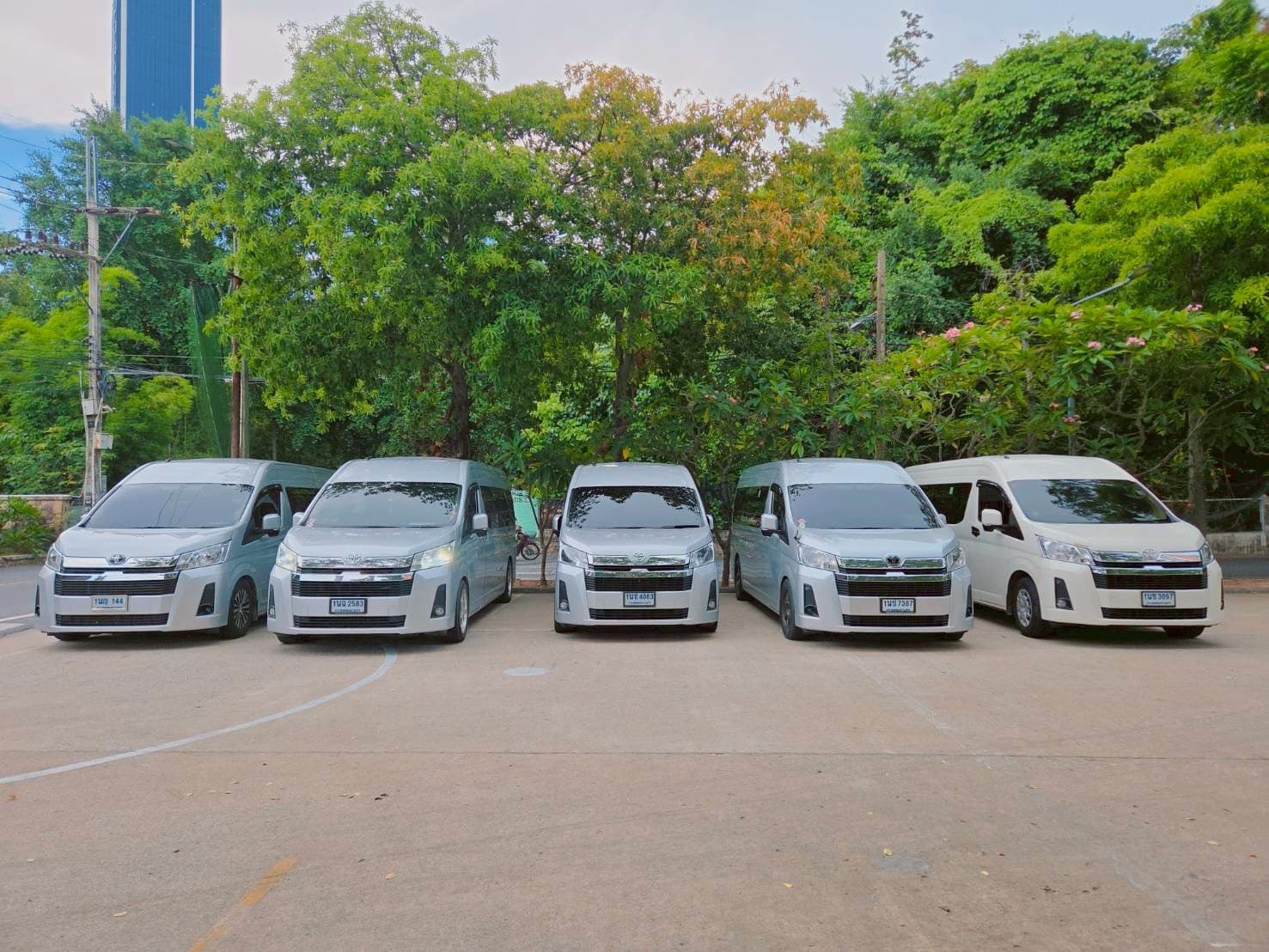 Premium Van Gallery